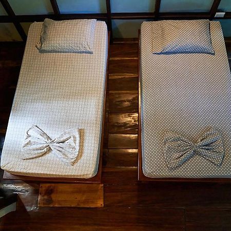 מונטזומה Luz En El Cielo Eco-B&B/Hostel מראה חיצוני תמונה