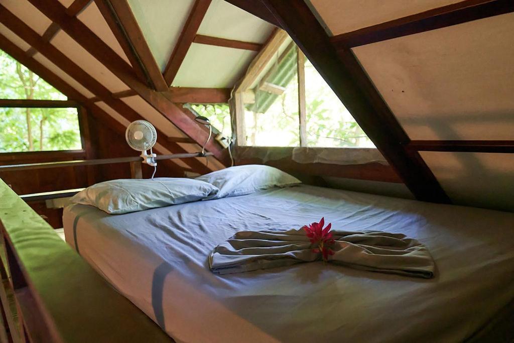 מונטזומה Luz En El Cielo Eco-B&B/Hostel מראה חיצוני תמונה