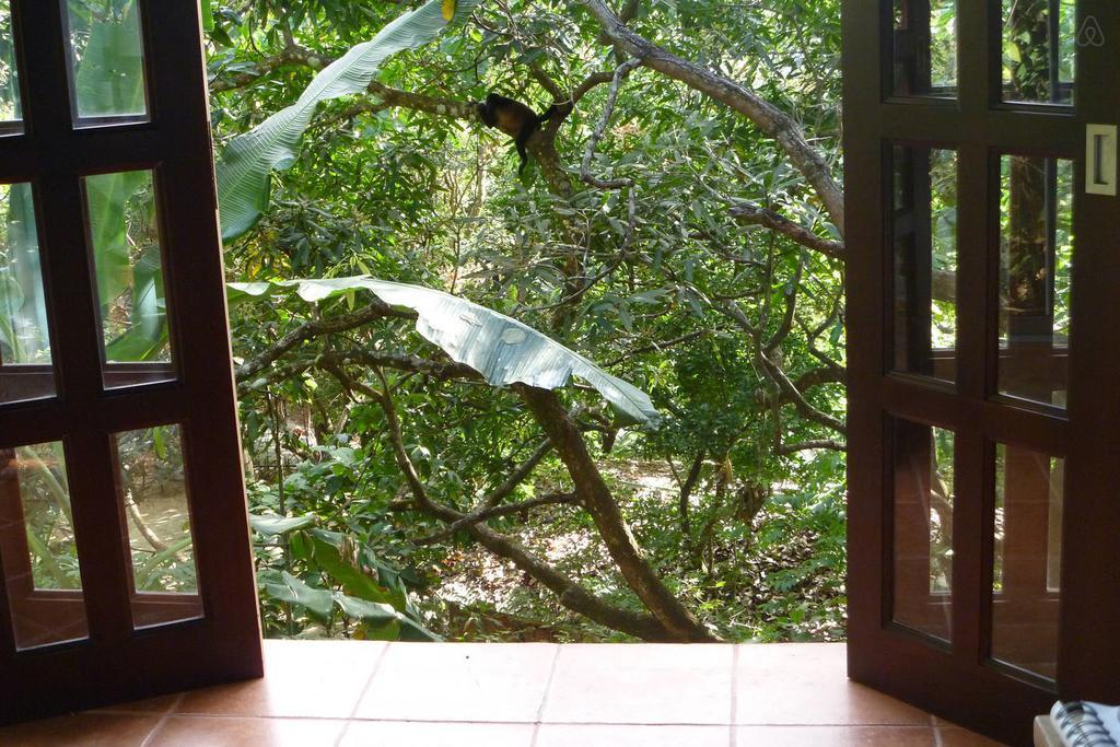 מונטזומה Luz En El Cielo Eco-B&B/Hostel חדר תמונה